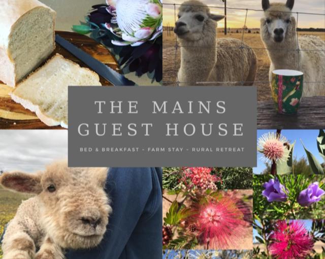 The Mains Guest House 2 Bedroom Farm Stay Corrigin Экстерьер фото